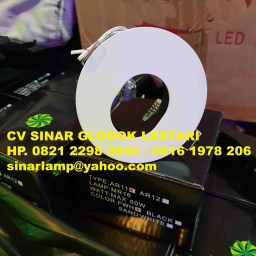 Downlight PinHole Interior Spot Halogen LED MR16 Smart Oval